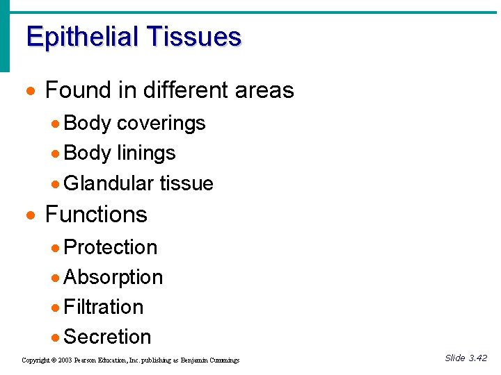 Epithelial Tissues · Found in different areas · Body coverings · Body linings ·