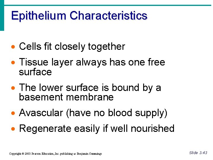 Epithelium Characteristics · Cells fit closely together · Tissue layer always has one free