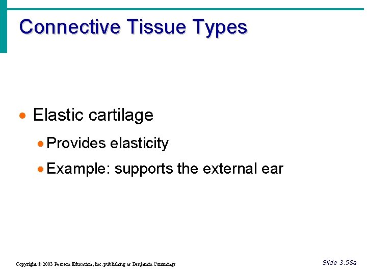 Connective Tissue Types · Elastic cartilage · Provides elasticity · Example: supports the external