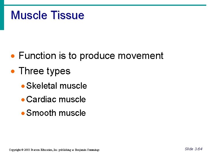 Muscle Tissue · Function is to produce movement · Three types · Skeletal muscle