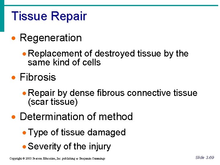 Tissue Repair · Regeneration · Replacement of destroyed tissue by the same kind of