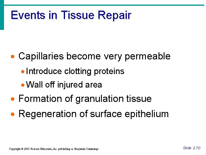 Events in Tissue Repair · Capillaries become very permeable · Introduce clotting proteins ·