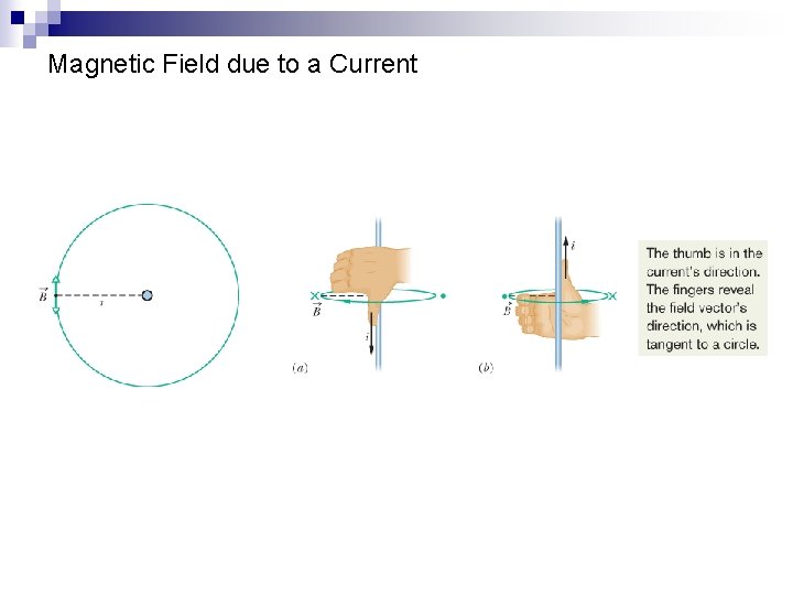 Magnetic Field due to a Current 