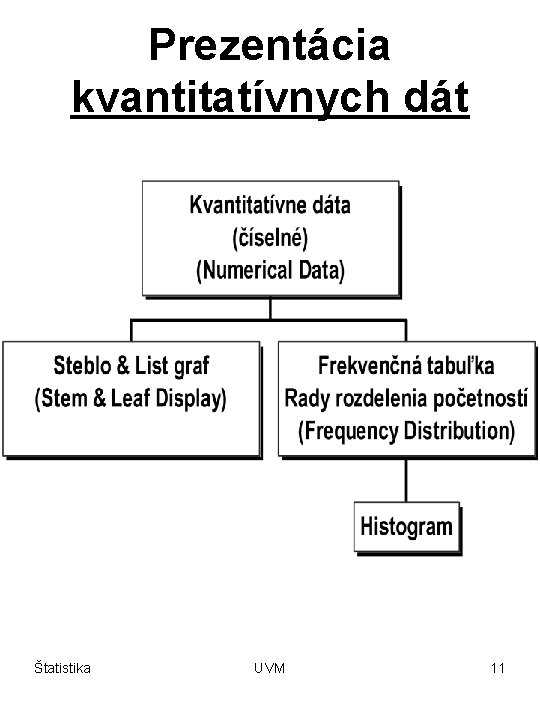 Prezentácia kvantitatívnych dát Štatistika UVM 11 
