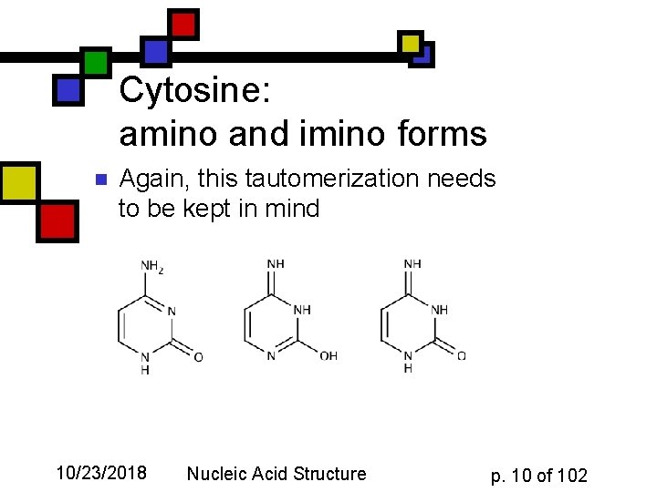 Cytosine: amino and imino forms n Again, this tautomerization needs to be kept in