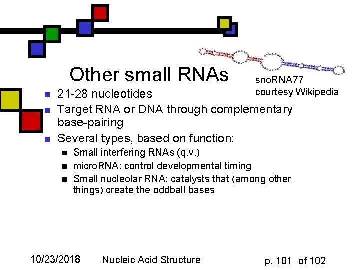 Other small RNAs n n n sno. RNA 77 courtesy Wikipedia 21 -28 nucleotides