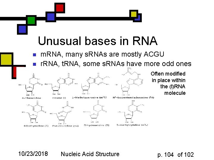 Unusual bases in RNA n n m. RNA, many s. RNAs are mostly ACGU