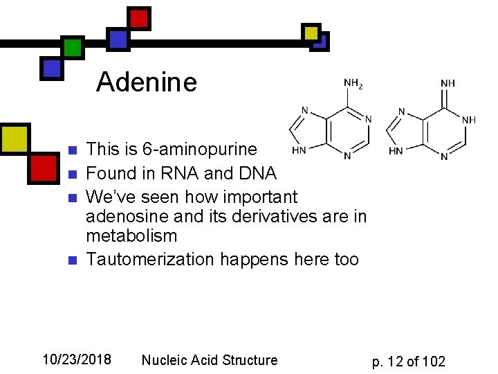Adenine n n This is 6 -aminopurine Found in RNA and DNA We’ve seen