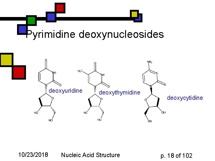 Pyrimidine deoxynucleosides deoxyuridine 10/23/2018 deoxythymidine Nucleic Acid Structure deoxycytidine p. 18 of 102 