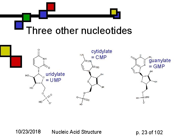 Three other nucleotides cytidylate = CMP guanylate = GMP uridylate = UMP 10/23/2018 Nucleic