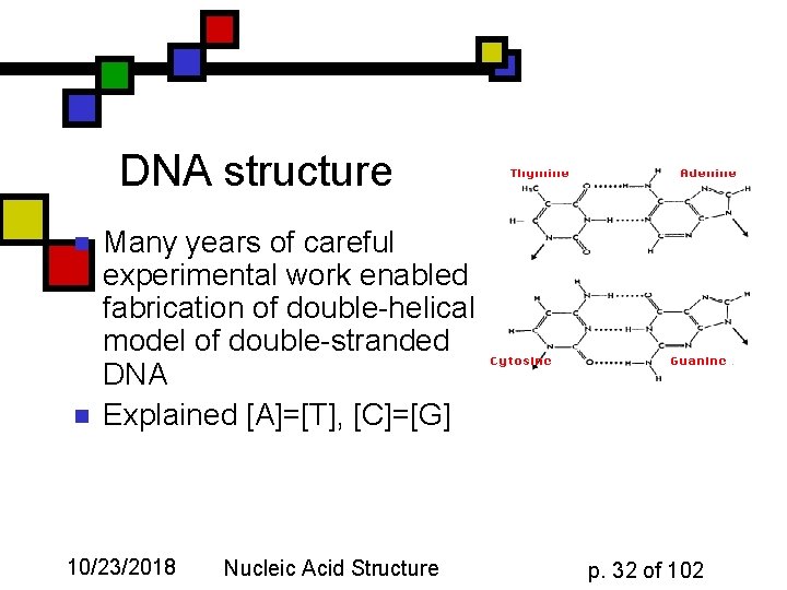 DNA structure n n Many years of careful experimental work enabled fabrication of double-helical