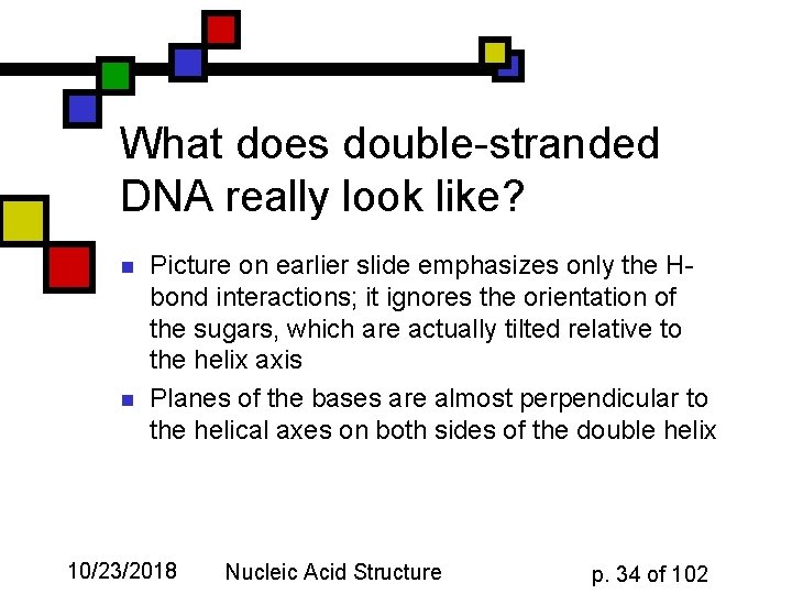 What does double-stranded DNA really look like? n n Picture on earlier slide emphasizes