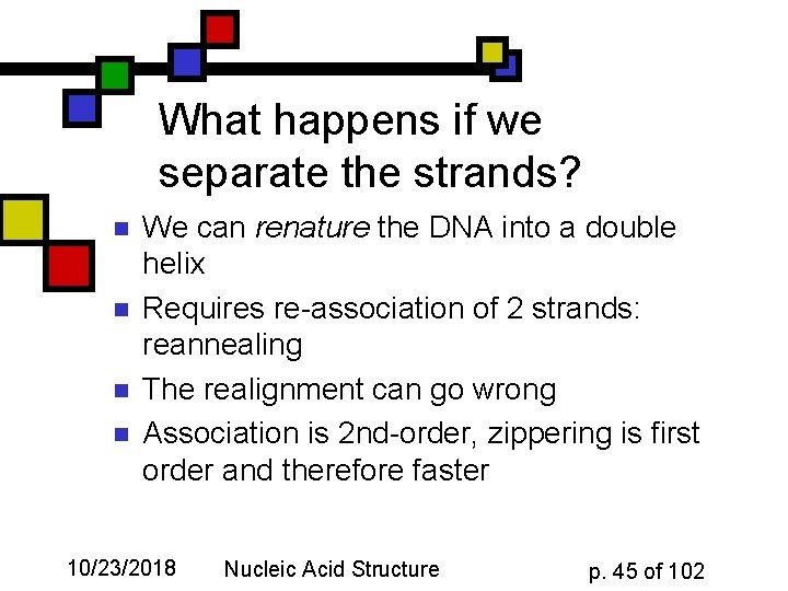 What happens if we separate the strands? n n We can renature the DNA