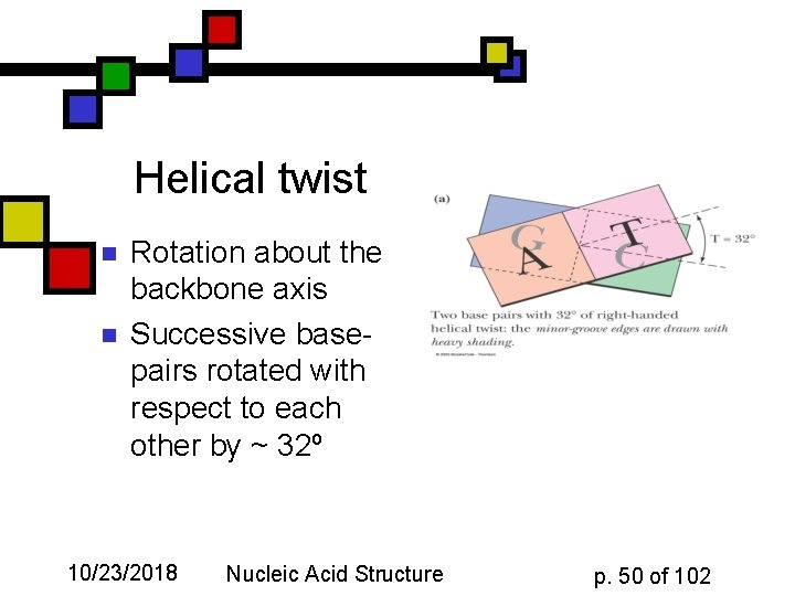 Helical twist n n Rotation about the backbone axis Successive basepairs rotated with respect