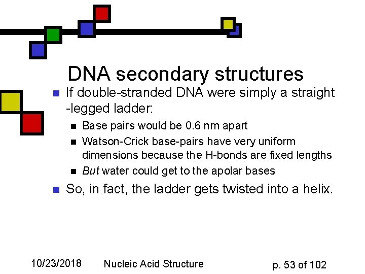 DNA secondary structures n If double-stranded DNA were simply a straight -legged ladder: n