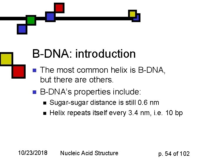 B-DNA: introduction n n The most common helix is B-DNA, but there are others.