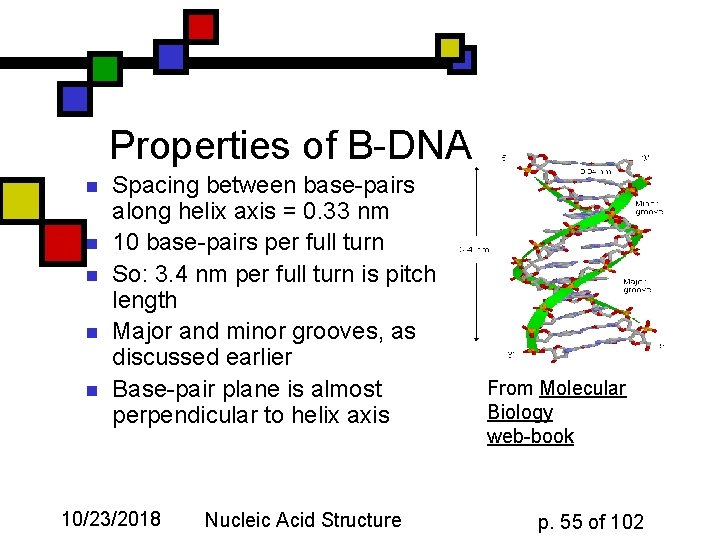 Properties of B-DNA n n n Spacing between base-pairs along helix axis = 0.