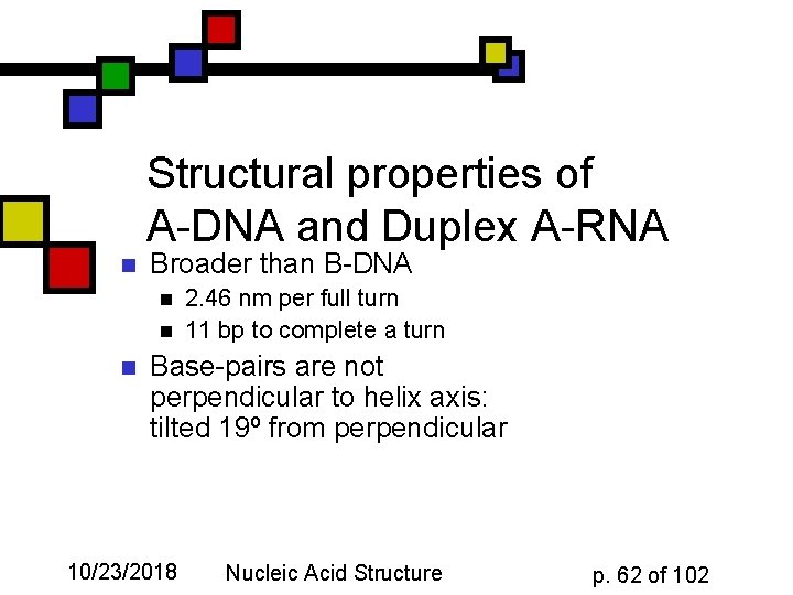 Structural properties of A-DNA and Duplex A-RNA n Broader than B-DNA n n n