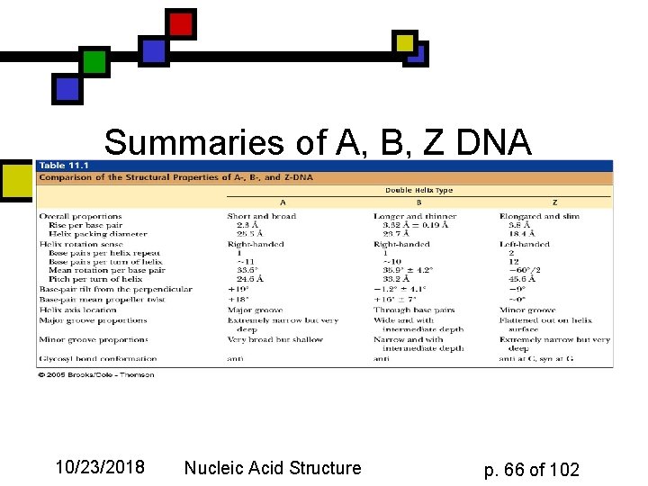 Summaries of A, B, Z DNA 10/23/2018 Nucleic Acid Structure p. 66 of 102