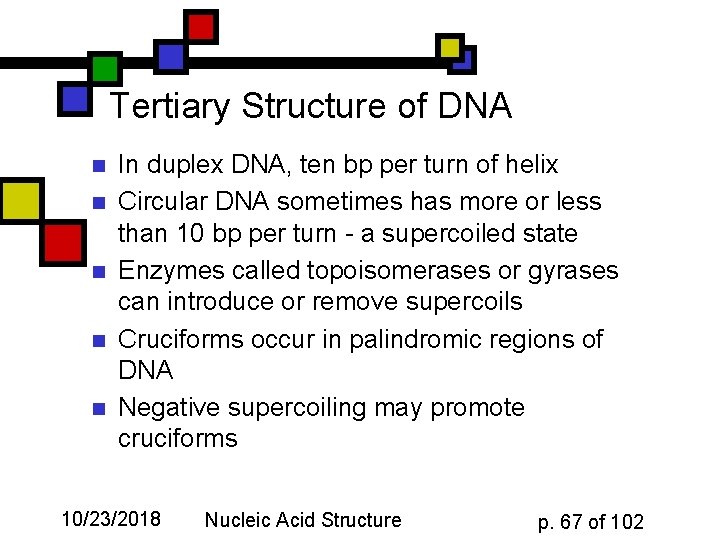 Tertiary Structure of DNA n n n In duplex DNA, ten bp per turn