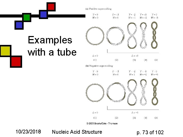 Examples with a tube 10/23/2018 Nucleic Acid Structure p. 73 of 102 