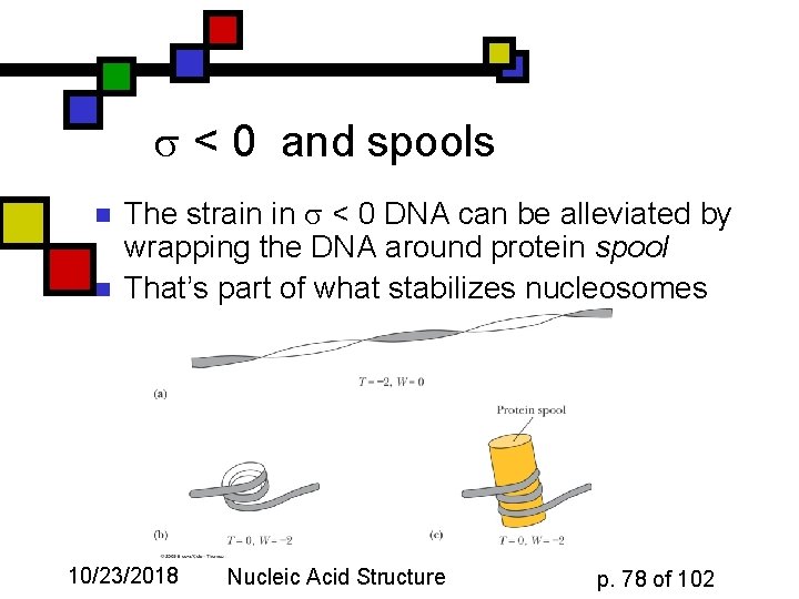  < 0 and spools n n The strain in < 0 DNA can