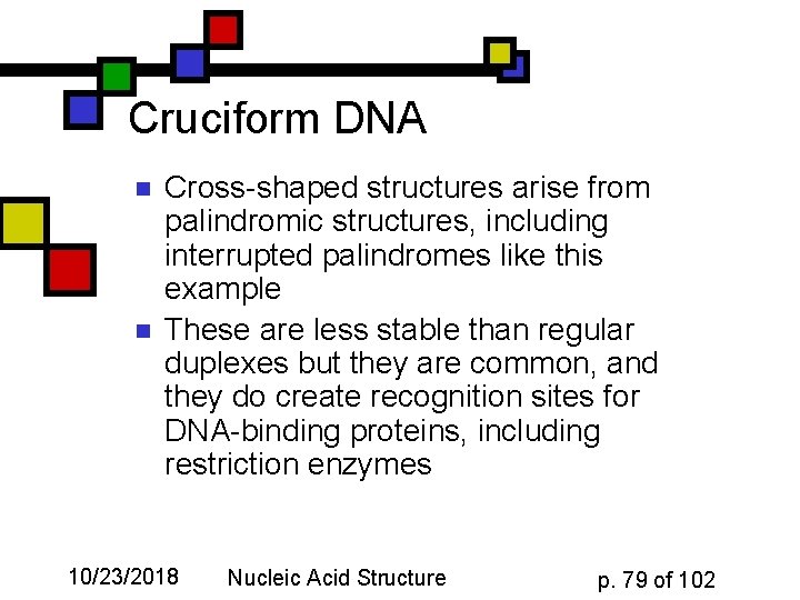 Cruciform DNA n n Cross-shaped structures arise from palindromic structures, including interrupted palindromes like