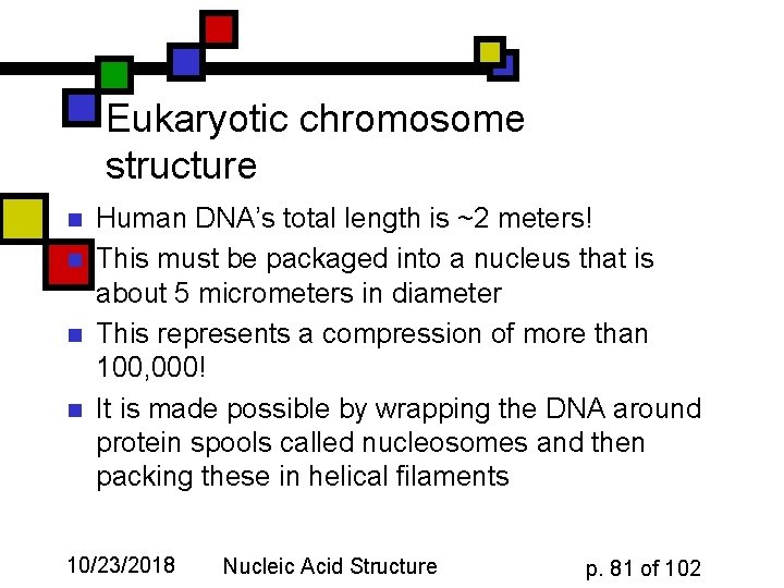 Eukaryotic chromosome structure n n Human DNA’s total length is ~2 meters! This must