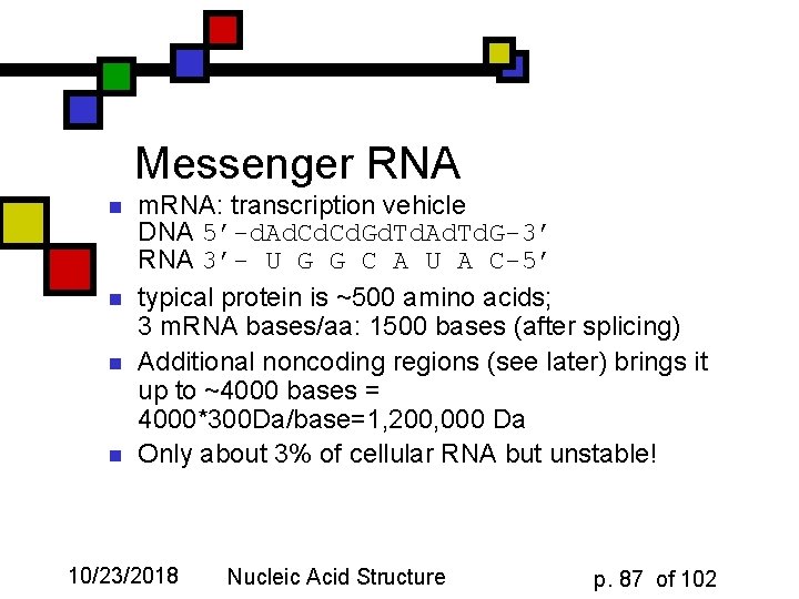 Messenger RNA n n m. RNA: transcription vehicle DNA 5’-d. Ad. Cd. Gd. Td.