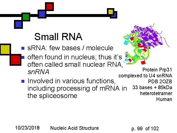 Small RNA n n n s. RNA: few bases / molecule often found in