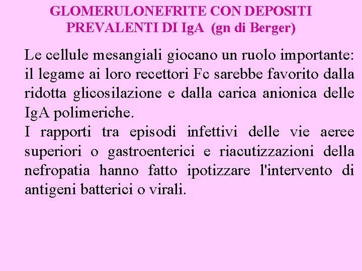GLOMERULONEFRITE CON DEPOSITI PREVALENTI DI Ig. A (gn di Berger) Le cellule mesangiali giocano