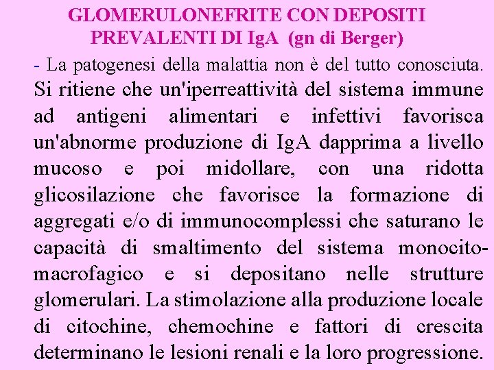 GLOMERULONEFRITE CON DEPOSITI PREVALENTI DI Ig. A (gn di Berger) - La patogenesi della