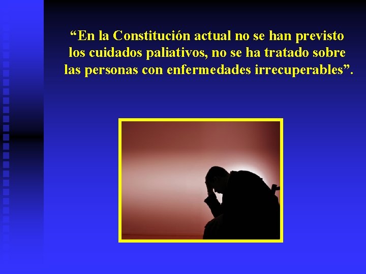 “En la Constitución actual no se han previsto los cuidados paliativos, no se ha