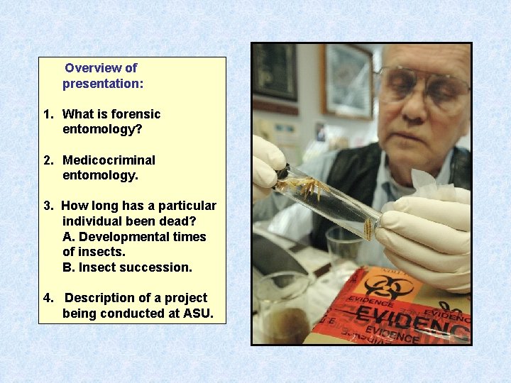  Overview of presentation: 1. What is forensic entomology? 2. Medicocriminal entomology. 3. How