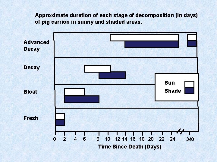 Approximate duration of each stage of decomposition (in days) of pig carrion in sunny