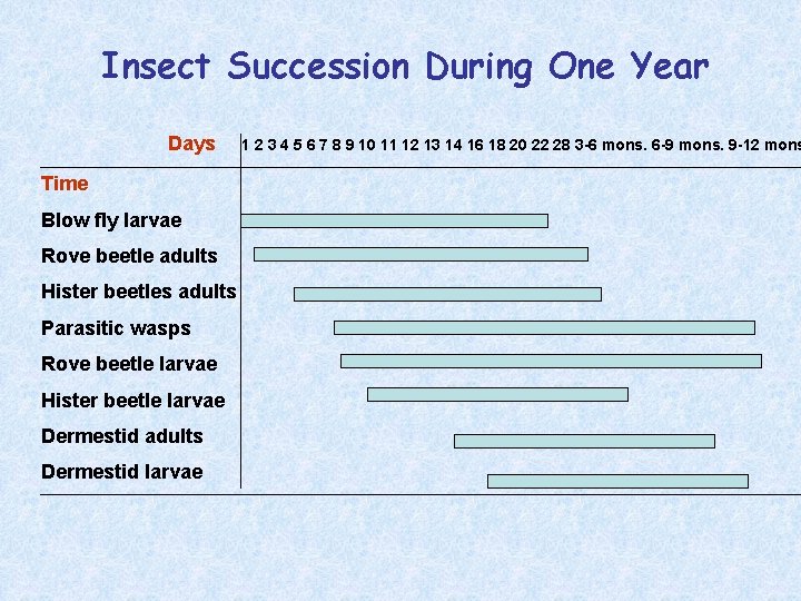 Insect Succession During One Year Days 1 2 3 4 5 6 7 8