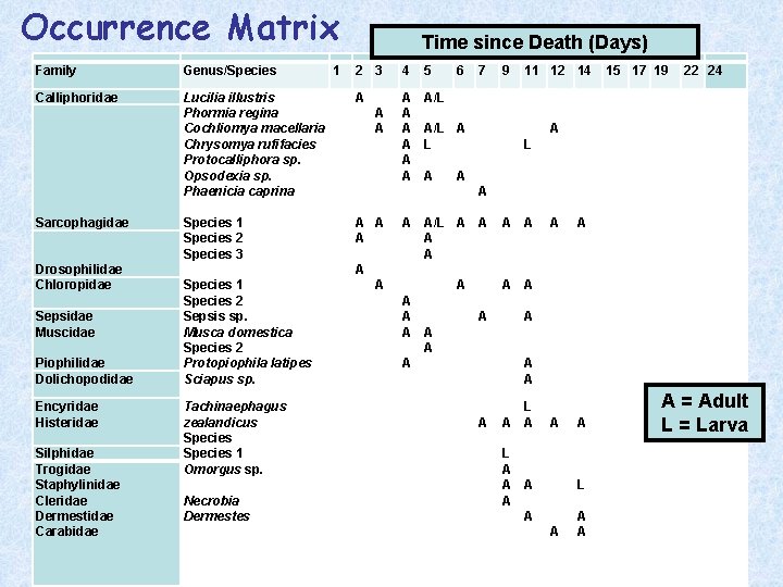 Occurrence Matrix Time since Death (Days) Family Genus/Species 1 Calliphoridae Sarcophagidae Drosophilidae Chloropidae Lucilia