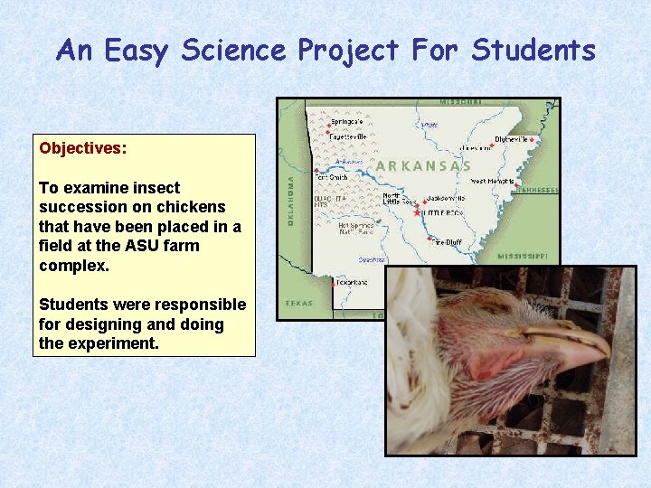 An Easy Science Project For Students Objectives: To examine insect succession on chickens that