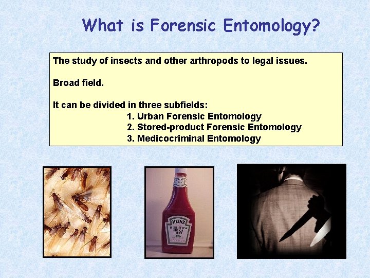 What is Forensic Entomology? The study of insects and other arthropods to legal issues.