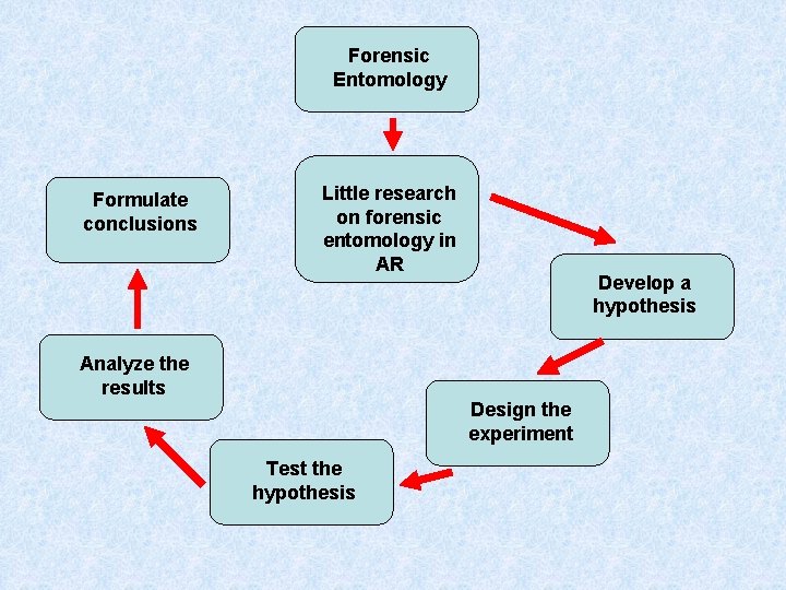 Forensic Entomology Formulate conclusions Little research on forensic entomology in AR Develop a hypothesis