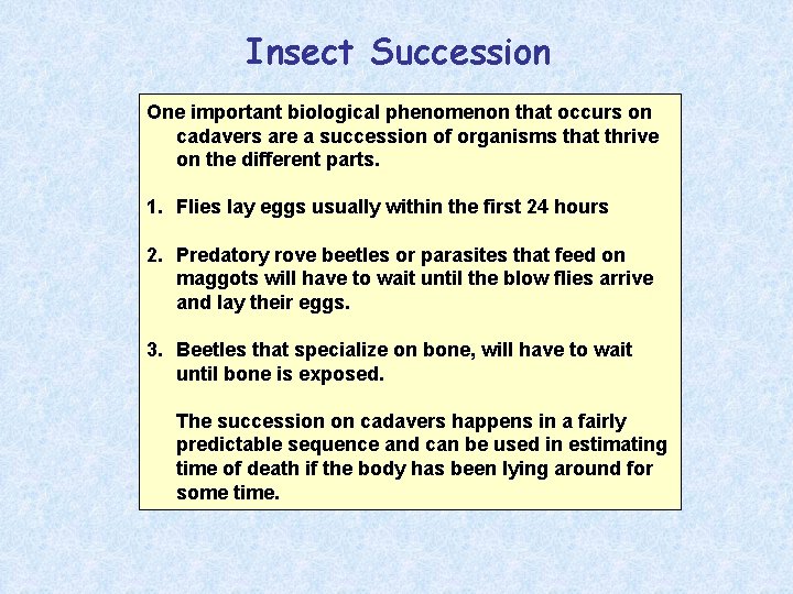 Insect Succession One important biological phenomenon that occurs on cadavers are a succession of