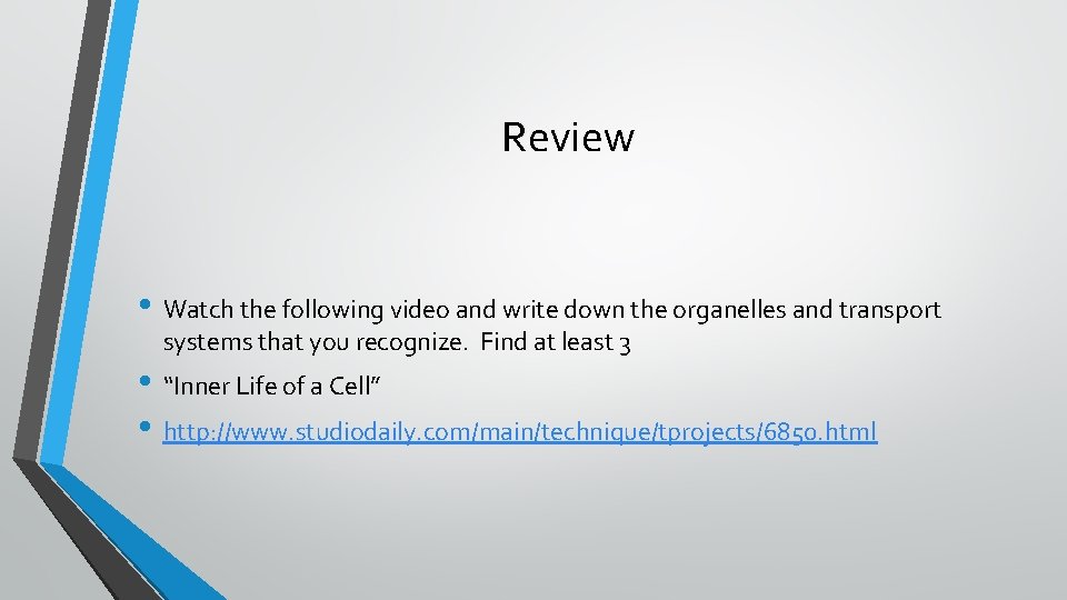 Review • Watch the following video and write down the organelles and transport systems
