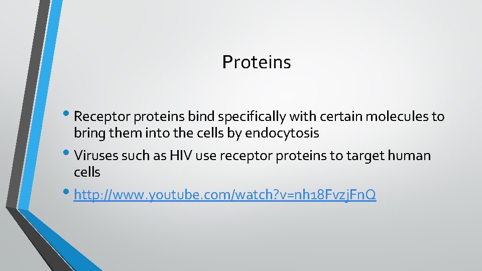 Proteins • Receptor proteins bind specifically with certain molecules to bring them into the