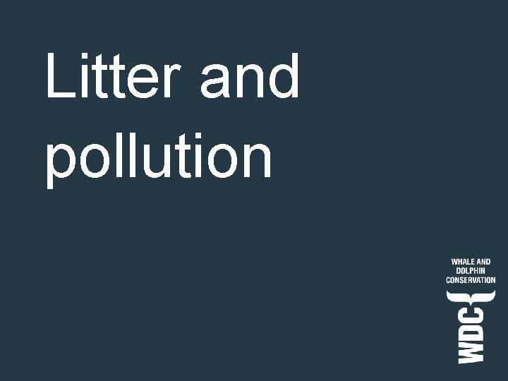 Litter and pollution 