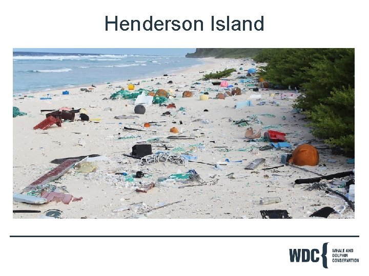 Henderson Island 