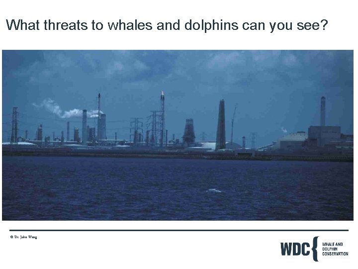 What threats to whales and dolphins can you see? © Dr. John Wang 