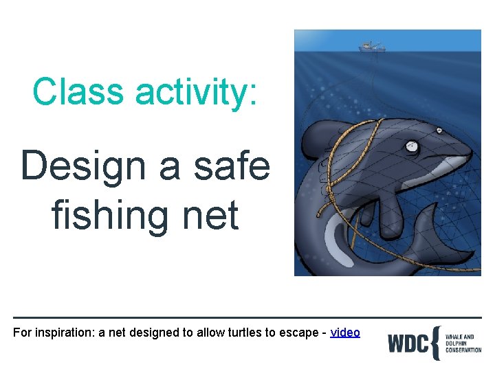 Class activity: Design a safe fishing net For inspiration: a net designed to allow