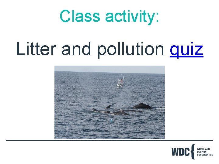 Class activity: Litter and pollution quiz 