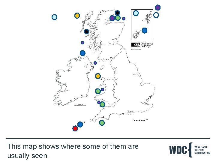 This map shows where some of them are usually seen. 