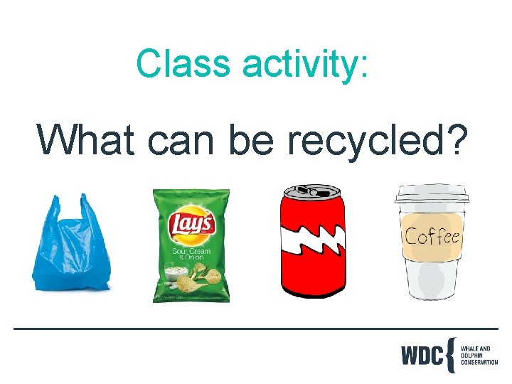 Class activity: What can be recycled? 